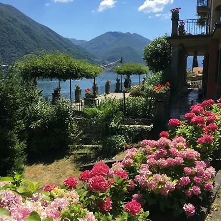 Peroni Classic With Swimming Pool